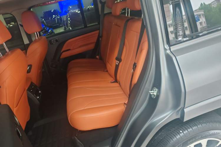 Used Haval H9 2024 2.0T Gasoline All-Wheel-Drive Extreme Edition Left Rear Seat