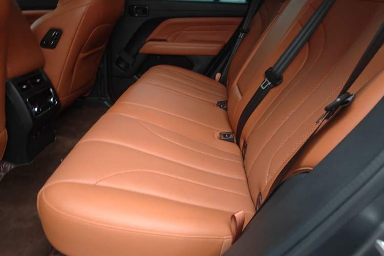 Used Haval H9 2024 2.0T Gasoline All-Wheel-Drive Extreme Edition Left Rear Seat