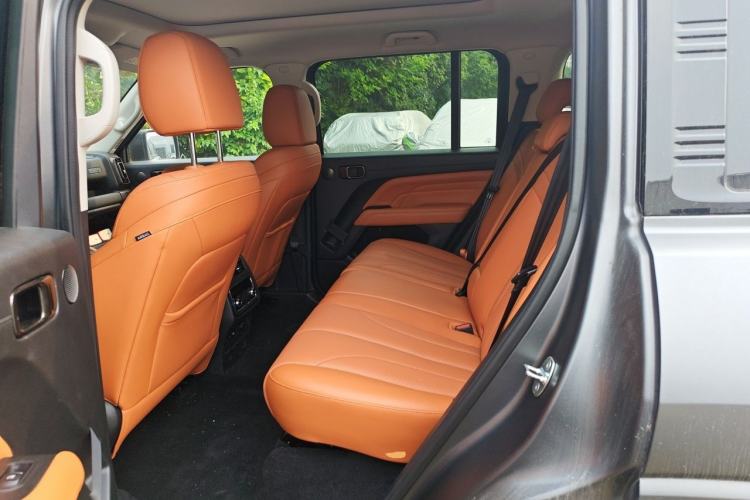 Used Haval H9 2024 2.0T Gasoline All-Wheel-Drive Extreme Edition Left Rear Seat