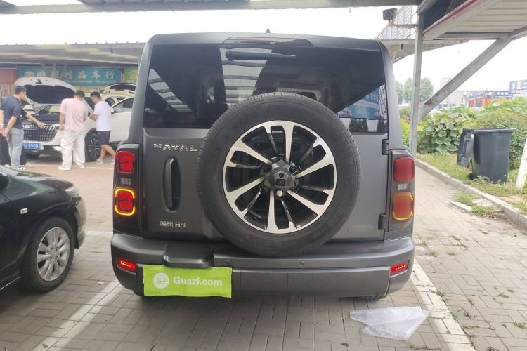 Used Haval H9 2024 2.0T Gasoline All-Wheel-Drive Extreme Edition Rear