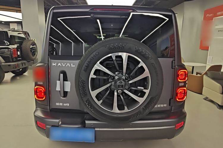 Used Haval H9 2024 2.0T Gasoline All-Wheel-Drive Extreme Edition Rear