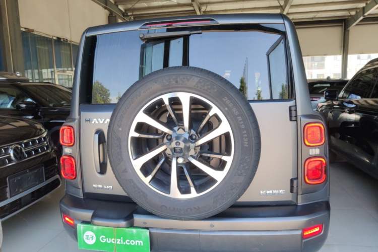 Used Haval H9 2024 2.0T Gasoline All-Wheel-Drive Extreme Edition Rear