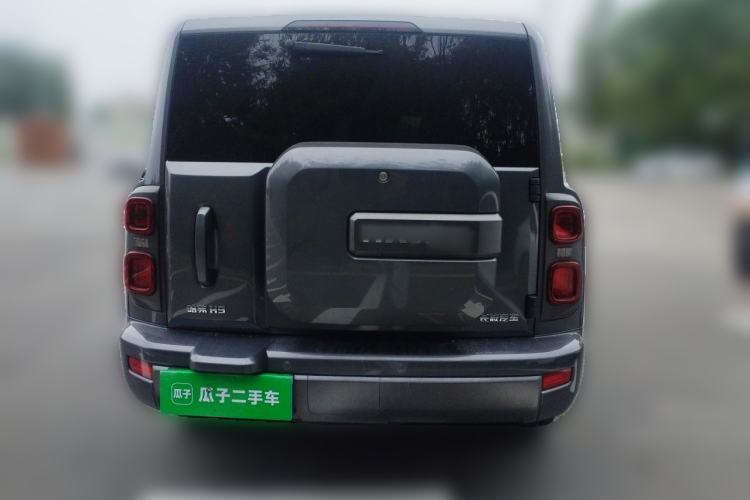 Used Haval H9 2024 2.0T Gasoline All-Wheel-Drive Extreme Edition Rear