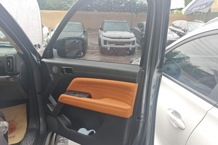 Used Haval H9 2024 2.0T Gasoline All-Wheel-Drive Extreme Edition Right Front Door Interior