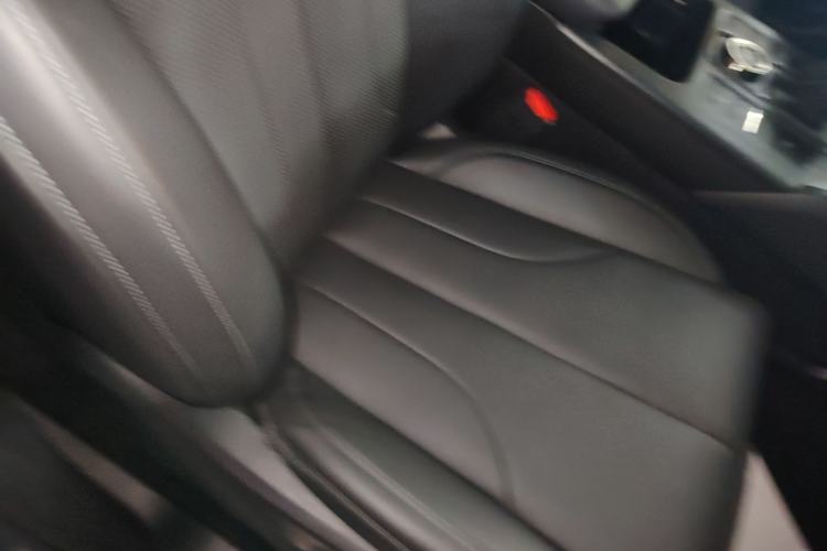 Used Haval H9 2024 2.0T Gasoline All-Wheel-Drive Extreme Edition Right Front Seat