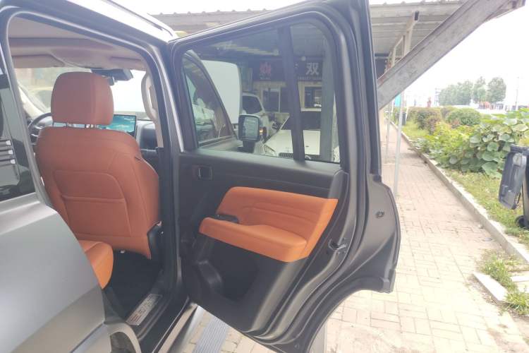 Used Haval H9 2024 2.0T Gasoline All-Wheel-Drive Extreme Edition Right Rear Door Interior