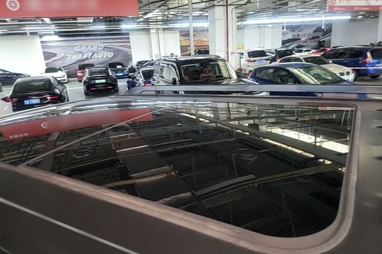 Used Haval H9 2024 2.0T Gasoline All-Wheel-Drive Extreme Edition Roof