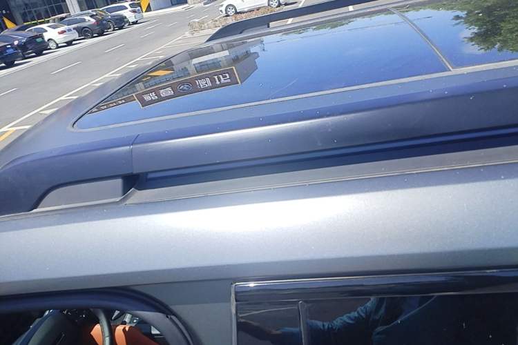 Used Haval H9 2024 2.0T Gasoline All-Wheel-Drive Extreme Edition Roof