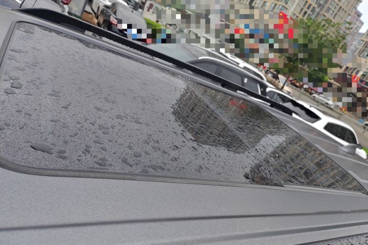 Used Haval H9 2024 2.0T Gasoline All-Wheel-Drive Extreme Edition Roof