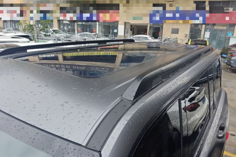 Used Haval H9 2024 2.0T Gasoline All-Wheel-Drive Extreme Edition Roof