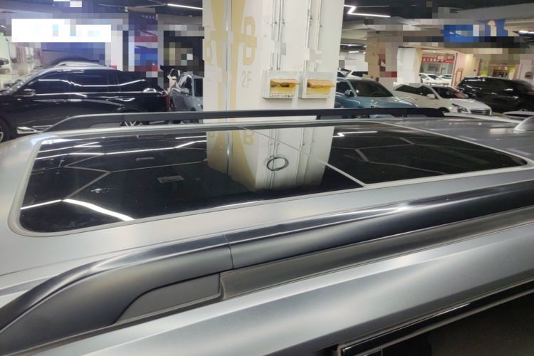 Used Haval H9 2024 2.0T Gasoline All-Wheel-Drive Extreme Edition Roof