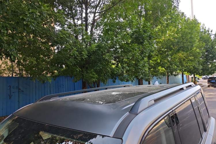 Used Haval H9 2024 2.0T Gasoline All-Wheel-Drive Extreme Edition Roof