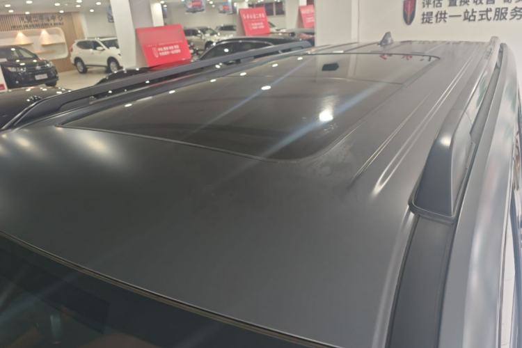 Used Haval H9 2024 2.0T Gasoline All-Wheel-Drive Extreme Edition Roof