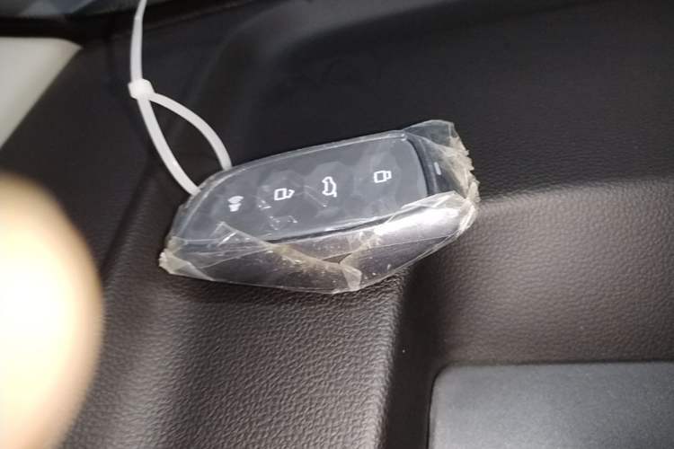 Used Haval H9 2024 2.0T Gasoline All-Wheel-Drive Extreme Edition Vehicle Key