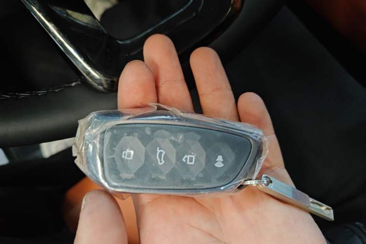 Used Haval H9 2024 2.0T Gasoline All-Wheel-Drive Extreme Edition Vehicle Key