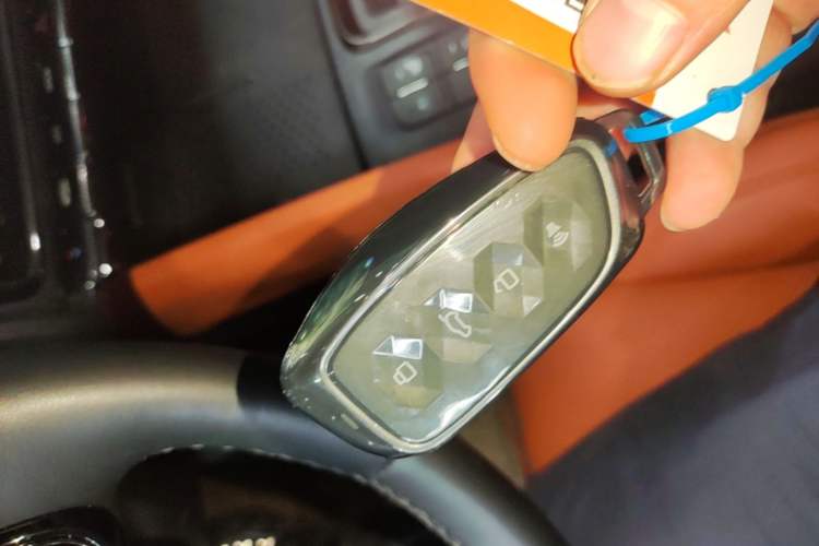 Used Haval H9 2024 2.0T Gasoline All-Wheel-Drive Extreme Edition Vehicle Key