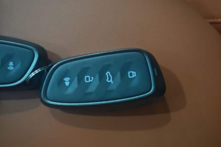 Used Haval H9 2024 2.0T Gasoline All-Wheel-Drive Extreme Edition Vehicle Key