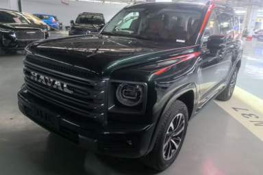 Used Haval H9 2024 2.0T Gasoline All-Wheel-Drive Extreme Edition