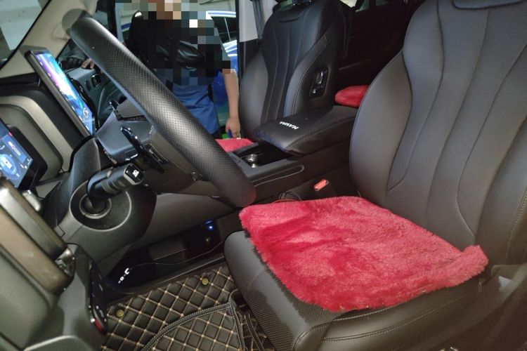 Used Haval H9 2024 2.0T Gasoline All-Wheel-Drive Extreme Edition Left Front Seat