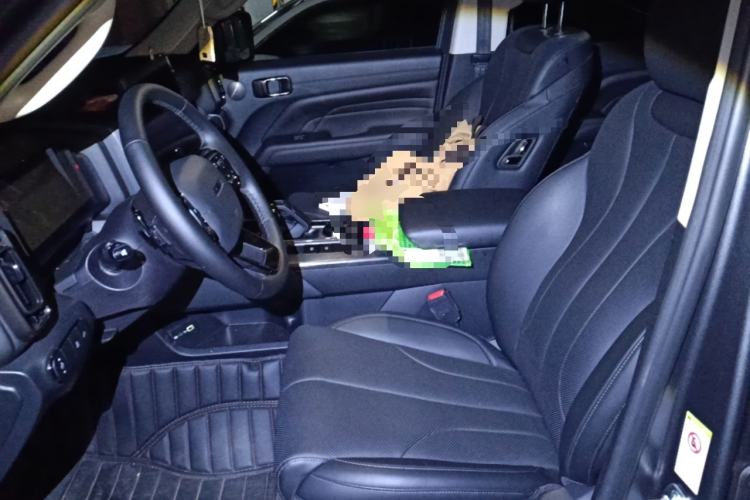 Used Haval H9 2024 2.0T Gasoline All-Wheel-Drive Extreme Edition Left Front Seat