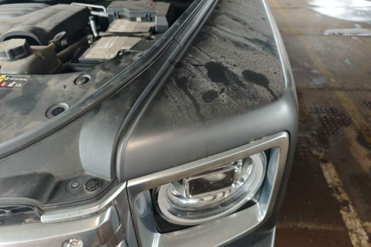 Used Haval H9 2024 2.0T Gasoline All-Wheel-Drive Extreme Edition Engine Bay Left