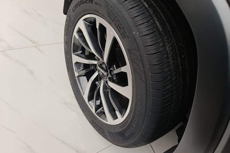 Used Haval H9 2024 2.0T Gasoline All-Wheel-Drive Extreme Edition Exterior 5
