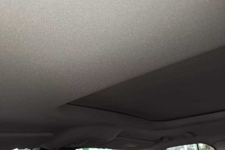 Used Haval H9 2024 2.0T Gasoline All-Wheel-Drive Extreme Edition Headliner