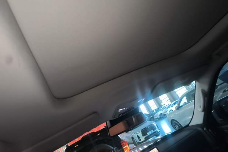 Used Haval H9 2024 2.0T Gasoline All-Wheel-Drive Extreme Edition Headliner