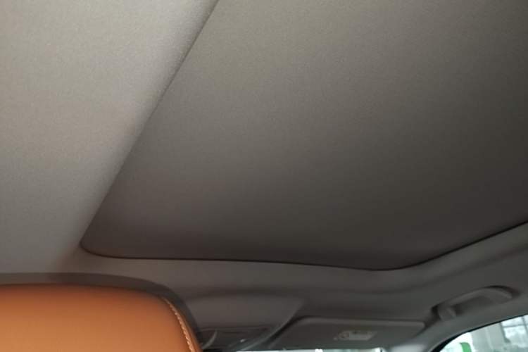 Used Haval H9 2024 2.0T Gasoline All-Wheel-Drive Extreme Edition Headliner