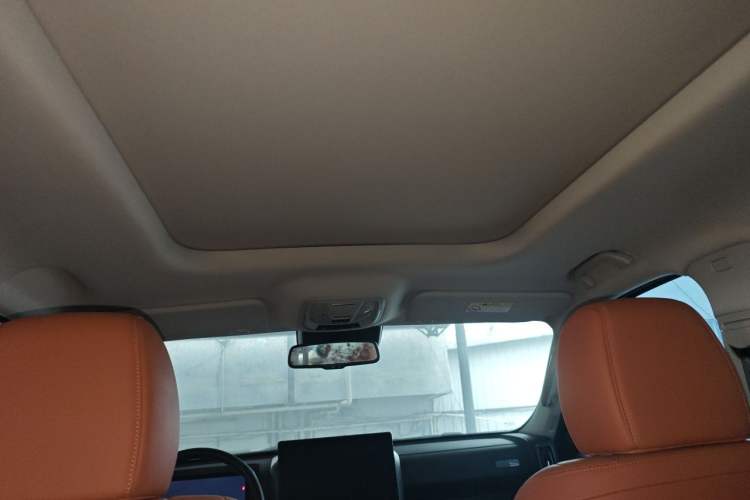Used Haval H9 2024 2.0T Gasoline All-Wheel-Drive Extreme Edition Headliner