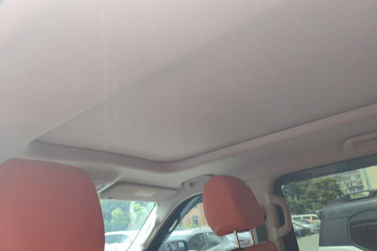 Used Haval H9 2024 2.0T Gasoline All-Wheel-Drive Extreme Edition Headliner