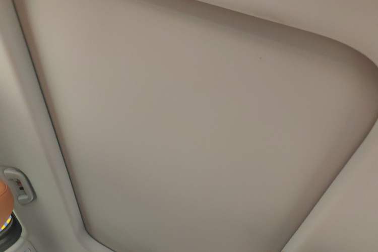 Used Haval H9 2024 2.0T Gasoline All-Wheel-Drive Extreme Edition Headliner
