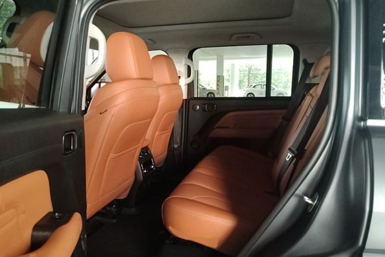 Used Haval H9 2024 2.0T Gasoline All-Wheel-Drive Extreme Edition Left Rear Seat