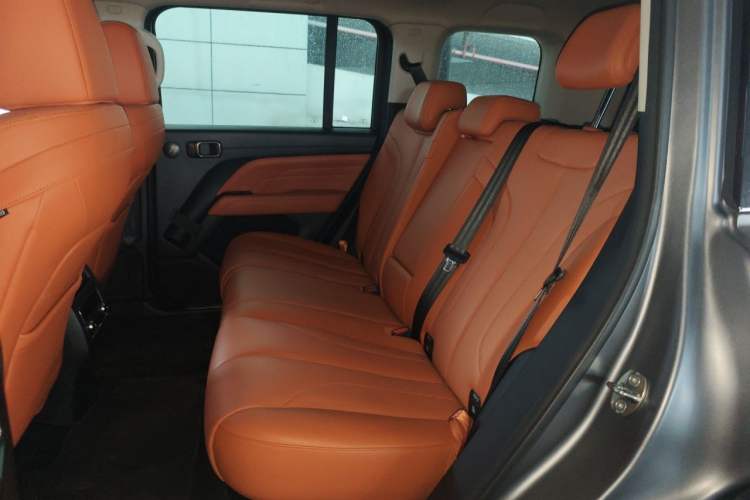 Used Haval H9 2024 2.0T Gasoline All-Wheel-Drive Extreme Edition Left Rear Seat