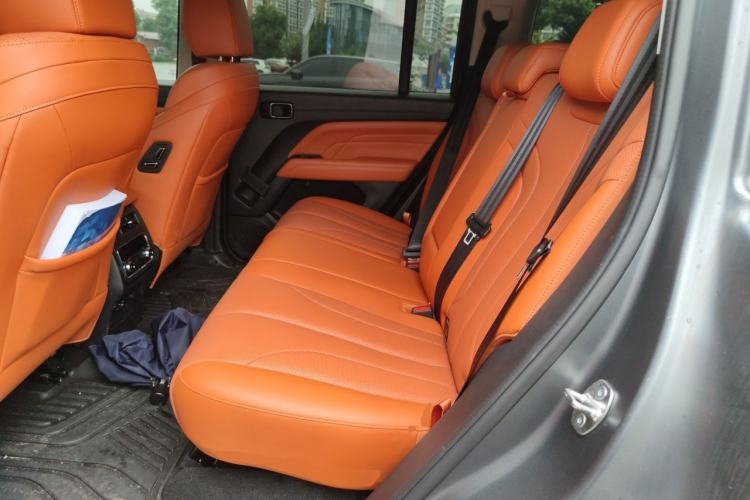 Used Haval H9 2024 2.0T Gasoline All-Wheel-Drive Extreme Edition Left Rear Seat