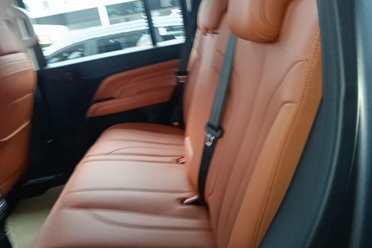 Used Haval H9 2024 2.0T Gasoline All-Wheel-Drive Extreme Edition Left Rear Seat