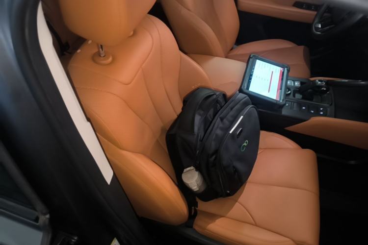Used Haval H9 2024 2.0T Gasoline All-Wheel-Drive Extreme Edition Right Front Seat