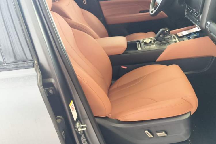 Used Haval H9 2024 2.0T Gasoline All-Wheel-Drive Extreme Edition Right Front Seat