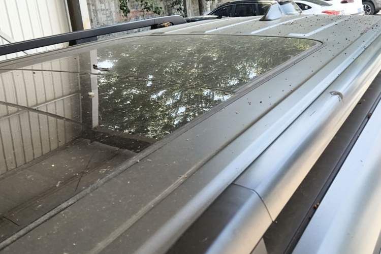 Used Haval H9 2024 2.0T Gasoline All-Wheel-Drive Extreme Edition Roof