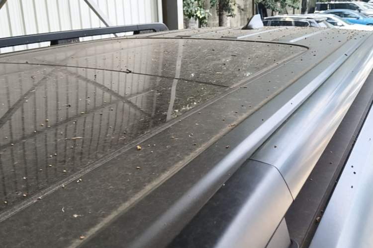Used Haval H9 2024 2.0T Gasoline All-Wheel-Drive Extreme Edition Roof