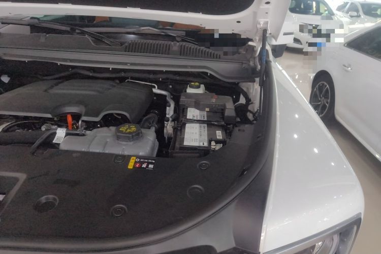 Used Haval H9 2024 2.0T Gasoline 4x4 Territory Edition Engine Bay Left