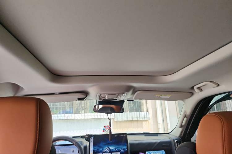 Used Haval H9 2024 2.0T Gasoline All-Wheel-Drive Extreme Edition Headliner