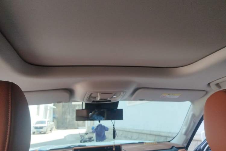 Used Haval H9 2024 2.0T Gasoline All-Wheel-Drive Extreme Edition Headliner