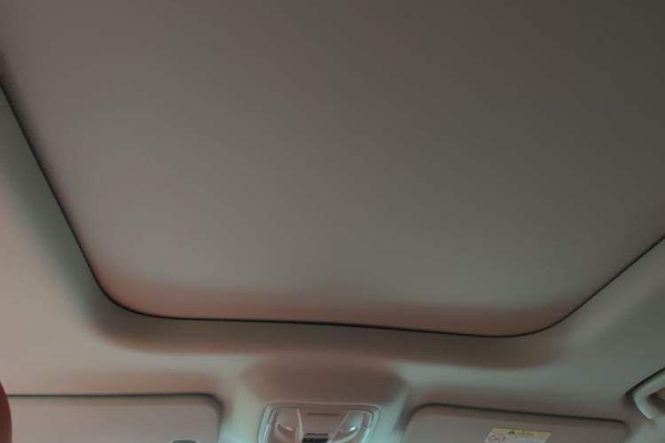 Used Haval H9 2024 2.0T Gasoline 4x4 Territory Edition Headliner