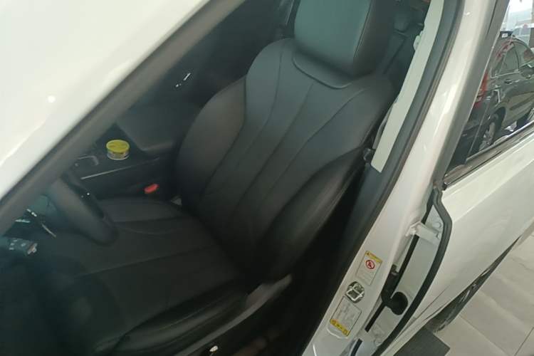 Used Haval H9 2024 2.0T Gasoline All-Wheel-Drive Extreme Edition Left Front Seat
