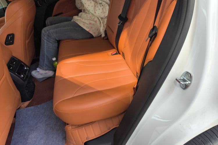 Used Haval H9 2024 2.0T Gasoline All-Wheel-Drive Extreme Edition Left Rear Seat