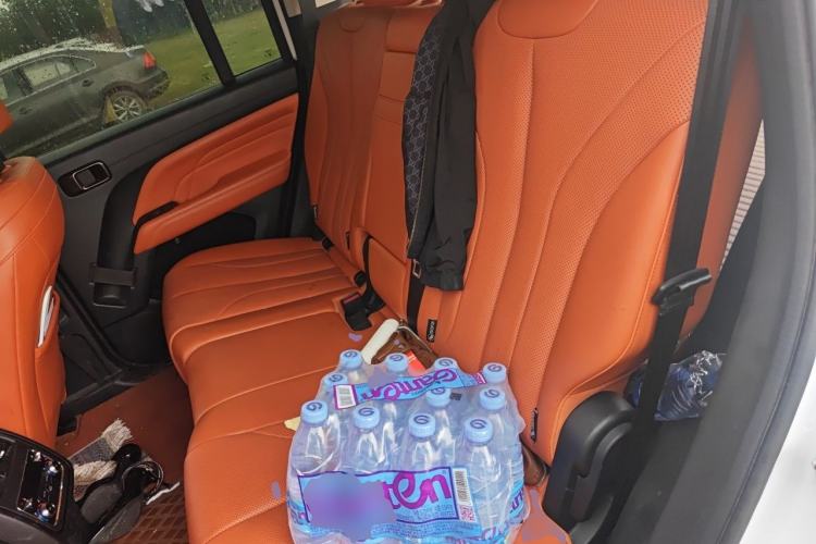 Used Haval H9 2024 2.0T Gasoline All-Wheel-Drive Extreme Edition Left Rear Seat