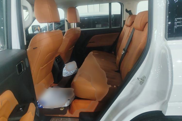 Used Haval H9 2024 2.0T Gasoline 4x4 Territory Edition Left Rear Seat