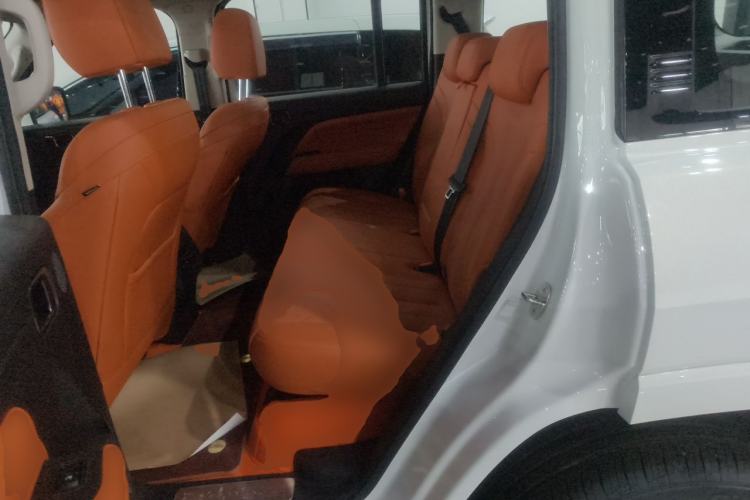 Used Haval H9 2024 2.0T Gasoline 4x4 Territory Edition Left Rear Seat