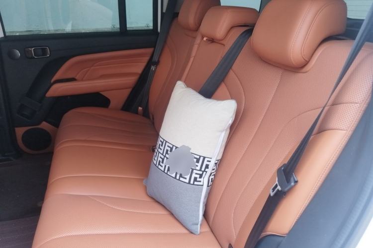 Used Haval H9 2024 2.0T Gasoline All-Wheel-Drive Extreme Edition Left Rear Seat